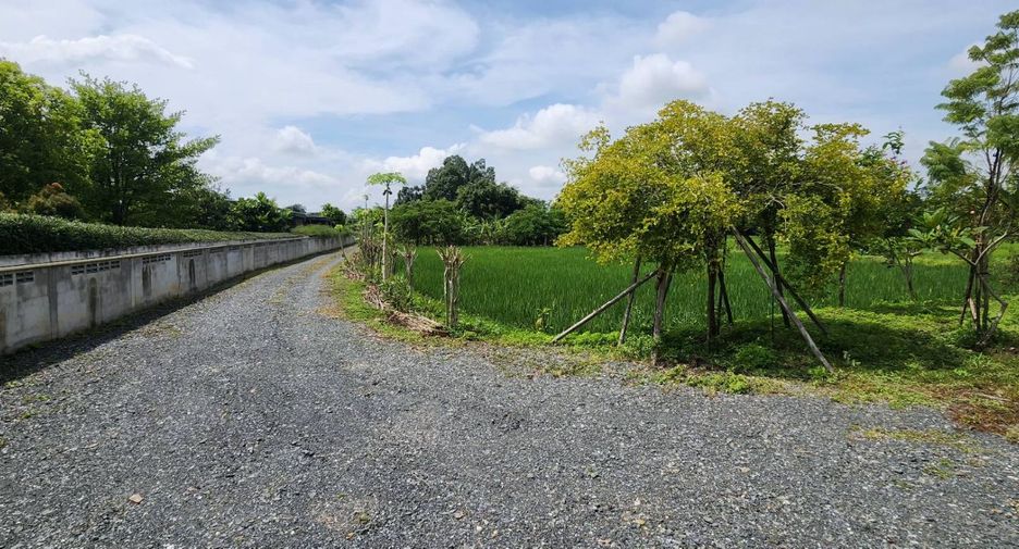 For sale land in Doi Saket, Chiang Mai