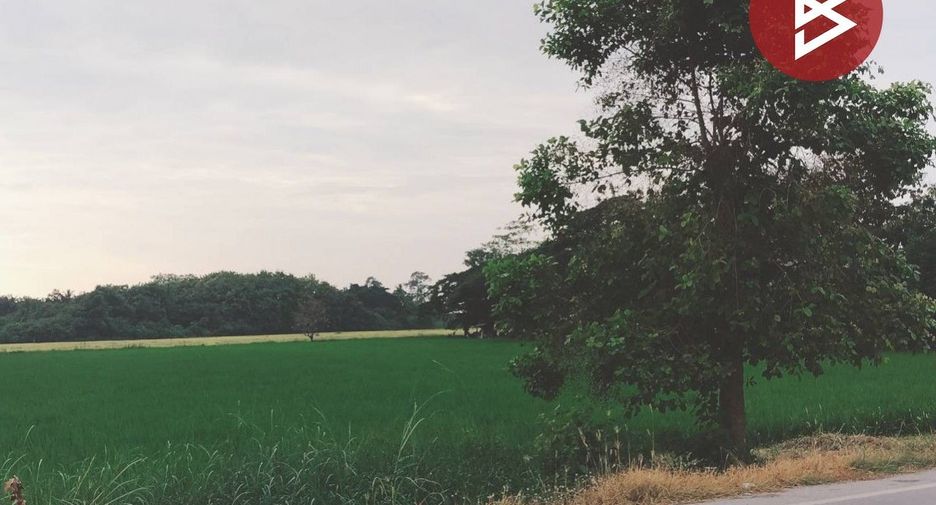 For sale land in Lam Luk Ka, Pathum Thani