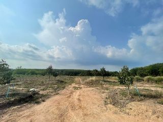 ขาย ที่ดิน ใน นิคมพัฒนา, ระยอง