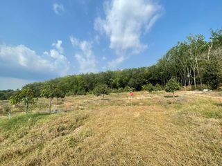 ขาย ที่ดิน ใน นิคมพัฒนา, ระยอง