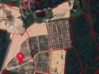 ขาย ที่ดิน ใน นิคมพัฒนา, ระยอง