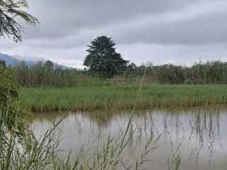 出售 土地 在 Thoeng, Chiang Rai
