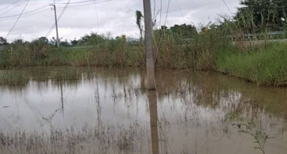 For sale land in Thoeng, Chiang Rai