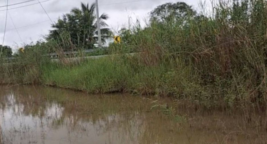 For sale land in Thoeng, Chiang Rai