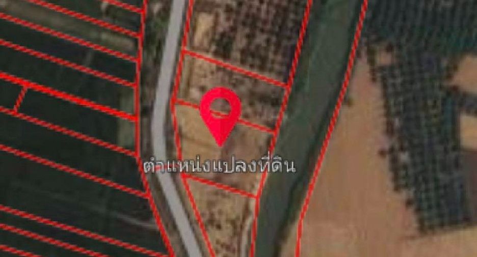 For sale land in Thoeng, Chiang Rai
