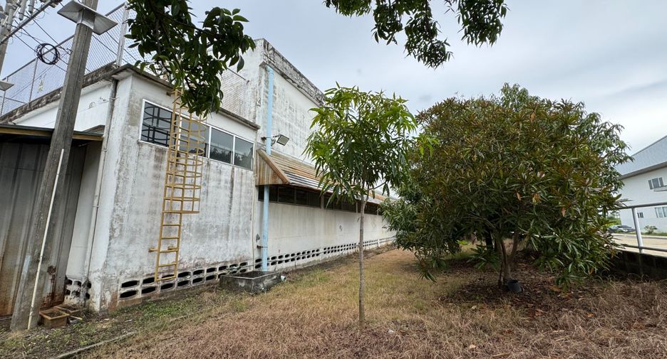 For rent warehouse in Mueang Chachoengsao, Chachoengsao