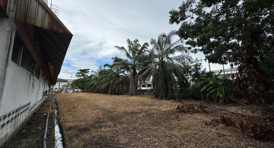 For rent warehouse in Mueang Chachoengsao, Chachoengsao