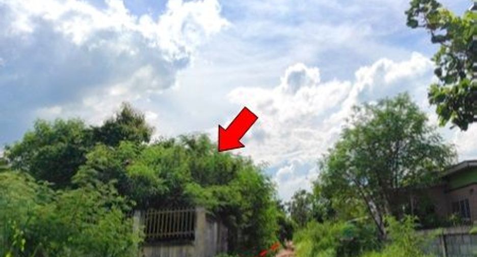 For sale warehouse in Si Bun Rueang, Nong Bua Lamphu