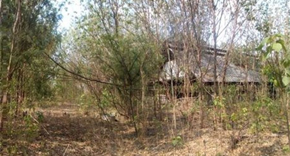 For sale warehouse in Phra Phutthabat, Saraburi