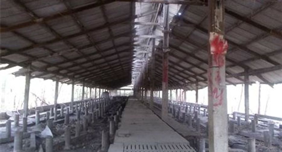 For sale warehouse in Phra Phutthabat, Saraburi