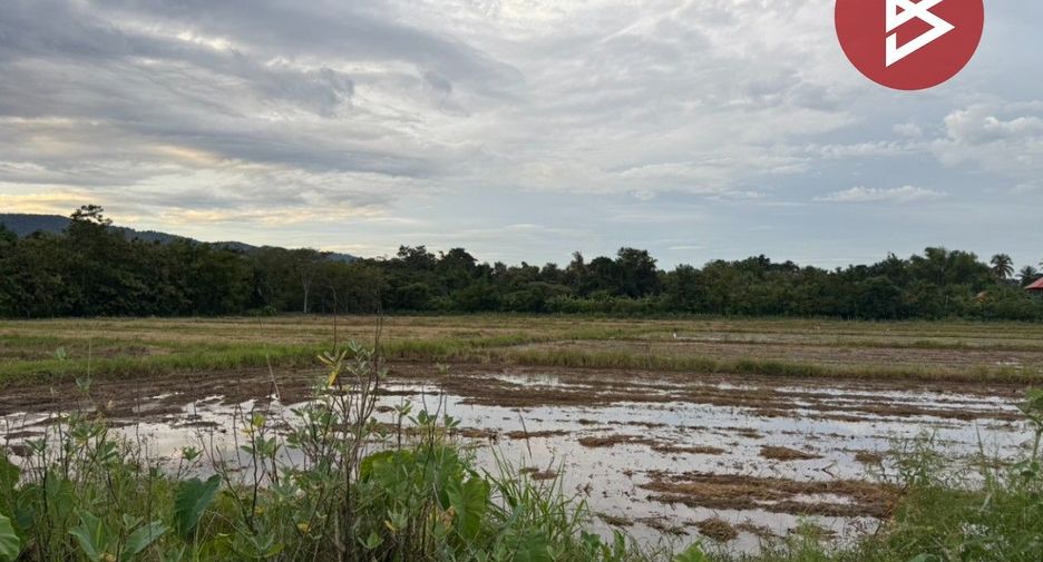 For sale land in Laplae, Uttaradit