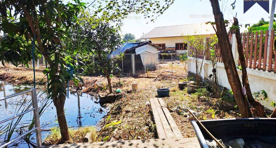 出租 2 卧室 仓库 在 Lat Lum Kaeo, Pathum Thani