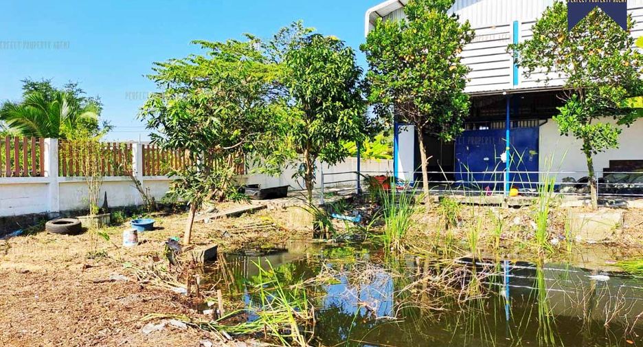 出租 2 卧室 仓库 在 Lat Lum Kaeo, Pathum Thani