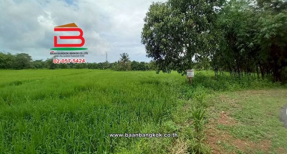 For sale land in Mueang Prachinburi, Prachin Buri