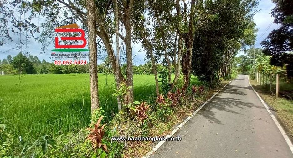 For sale land in Mueang Prachinburi, Prachin Buri