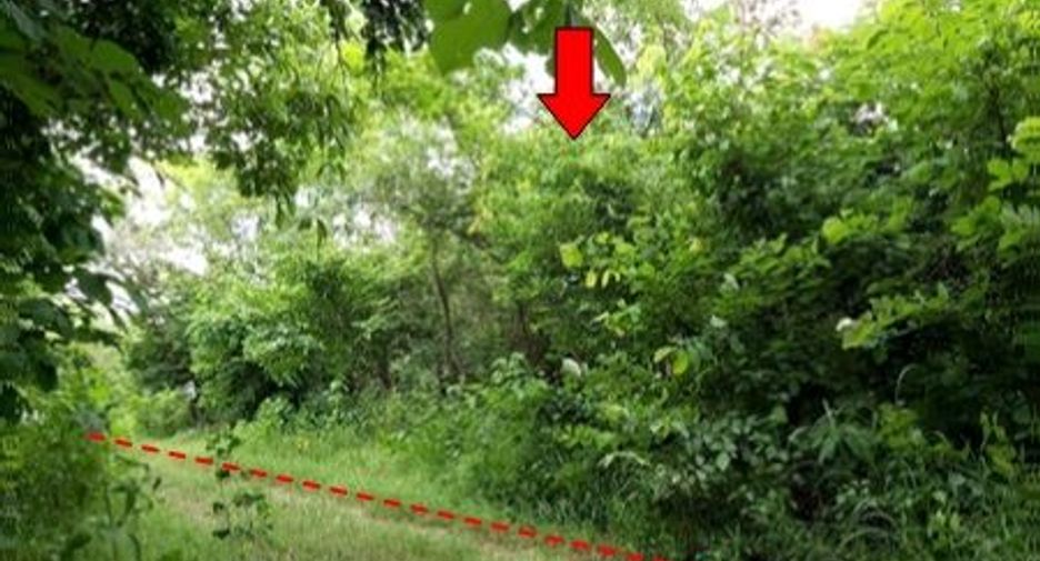 For sale land in Bueng Sam Phan, Phetchabun