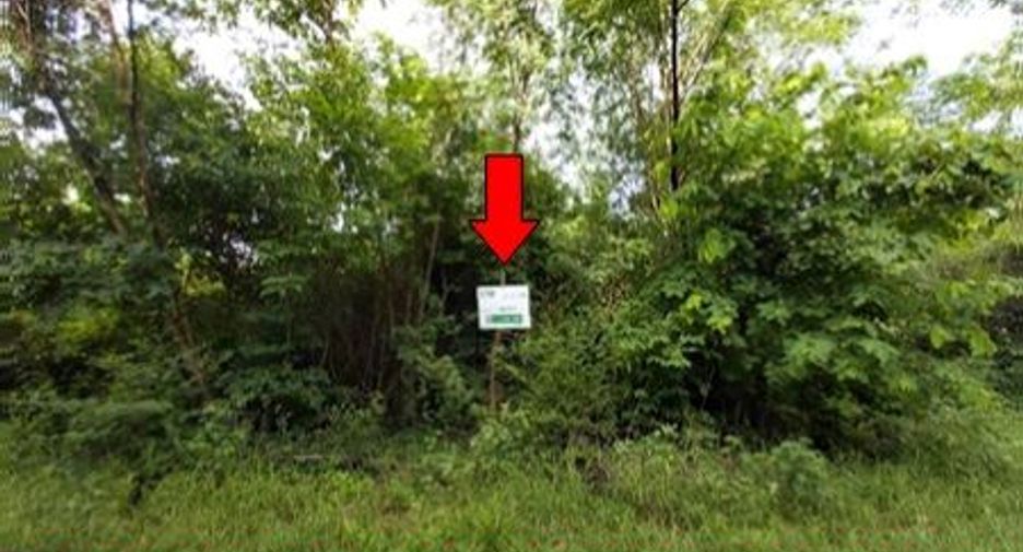 For sale land in Bueng Sam Phan, Phetchabun