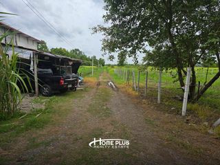 For sale land in Nong Suea, Pathum Thani
