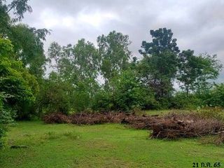 ขาย ที่ดิน ใน ลำปลายมาศ, บุรีรัมย์