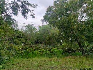 ขาย ที่ดิน ใน ลำปลายมาศ, บุรีรัมย์