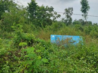 For sale land in Ongkharak, Nakhon Nayok