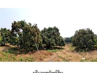 出售 土地 在 Ban Hong, Lamphun