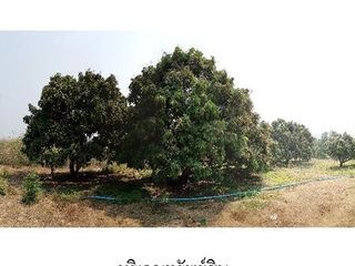出售 土地 在 Ban Hong, Lamphun