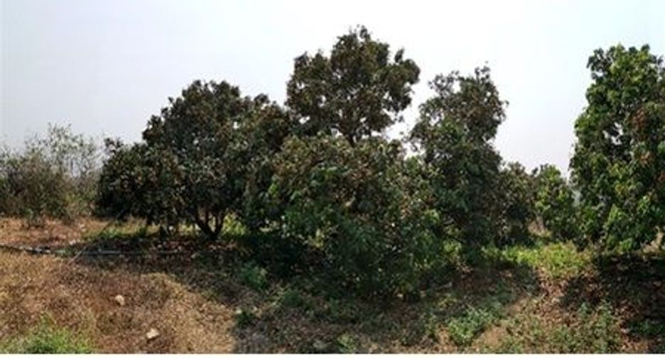 À vendre terrain à Ban Hong, Lamphun