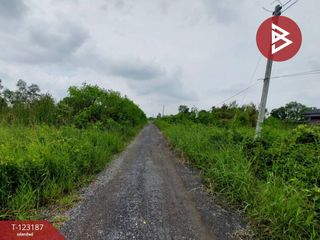 For sale land in Ongkharak, Nakhon Nayok