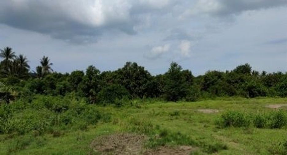 For sale land in Singhanakhon, Songkhla