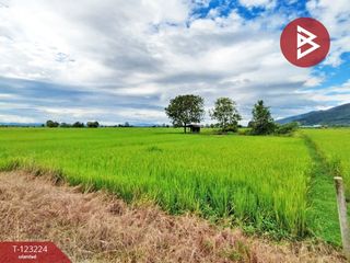 出售 土地 在 Thoeng, Chiang Rai