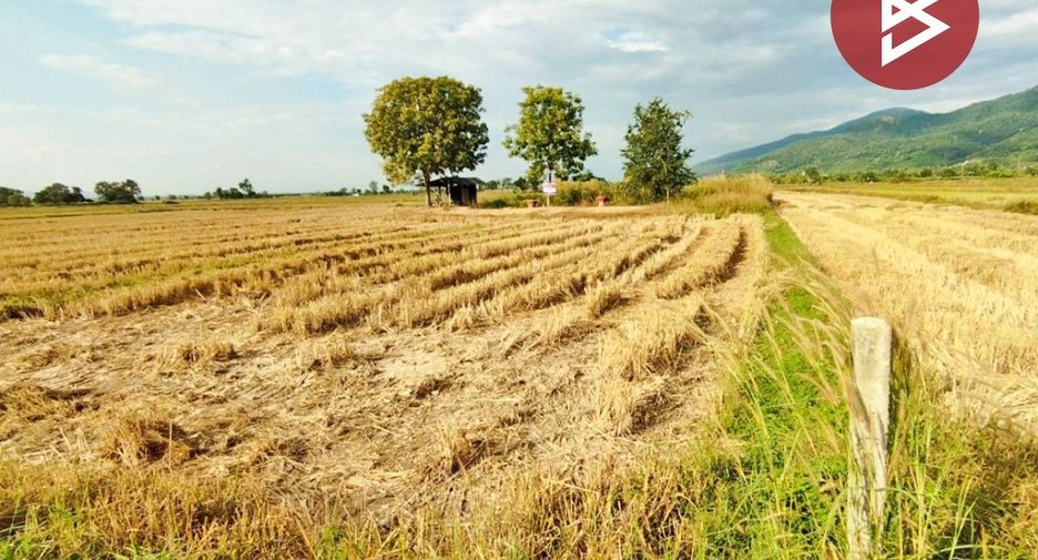 Продажа Участок в Thoeng, Чианг Рай