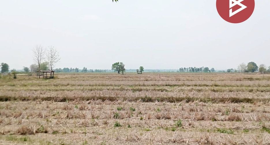 Продажа Участок в Thoeng, Чианг Рай