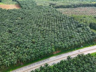 Terreno en venta en Mueang Krabi, Krabi
