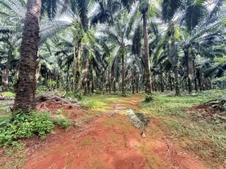 Terreno en venta en Mueang Krabi, Krabi