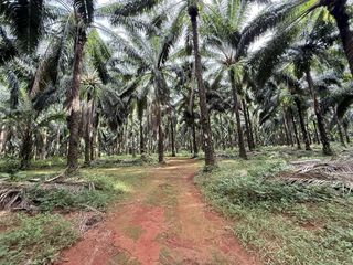 Terreno en venta en Mueang Krabi, Krabi