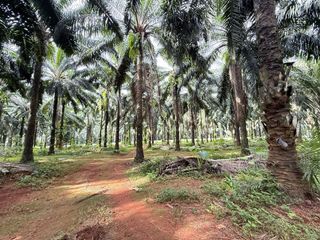 Terreno en venta en Mueang Krabi, Krabi