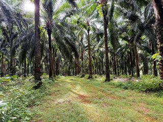 Terreno en venta en Mueang Krabi, Krabi