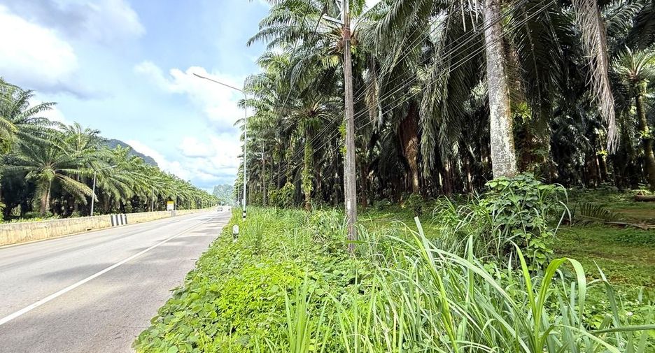 For sale land in Mueang Krabi, Krabi