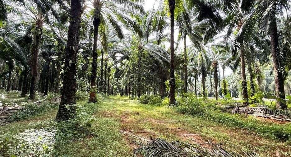 For sale land in Mueang Krabi, Krabi