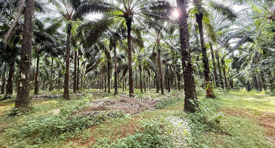 For sale land in Mueang Krabi, Krabi