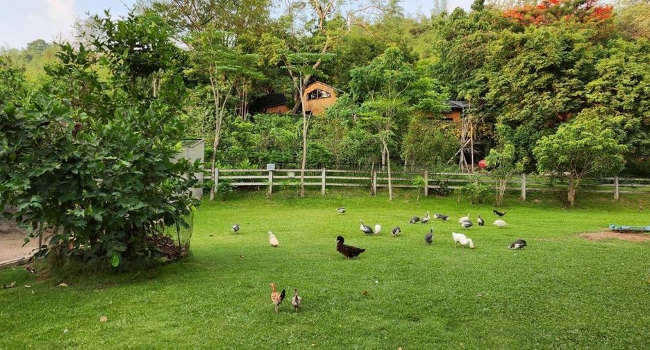 For sale studio house in Kaeng Khoi, Saraburi