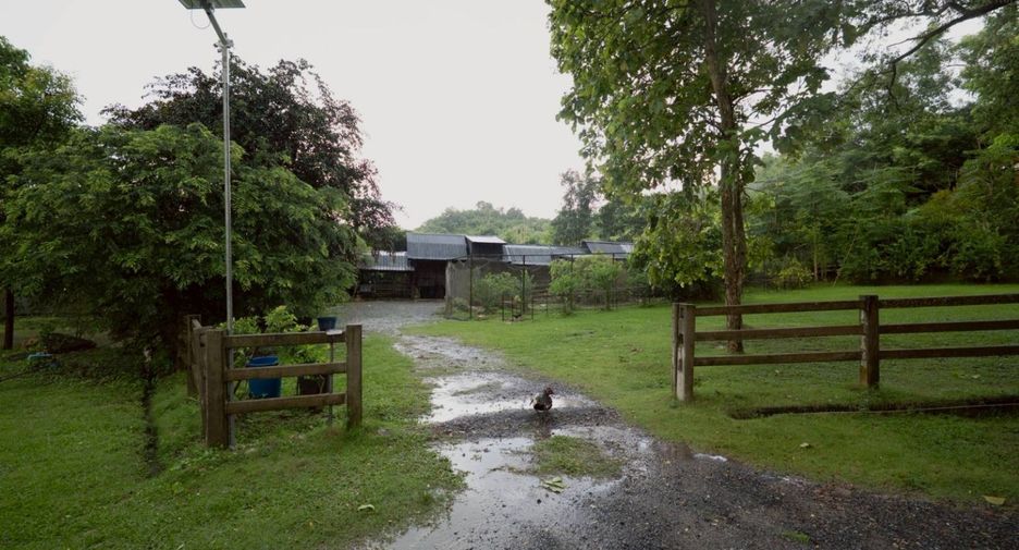 For sale studio house in Kaeng Khoi, Saraburi