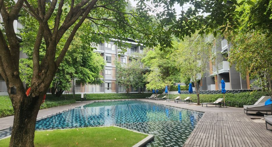 For sale 1 bed condo in Pak Chong, Nakhon Ratchasima