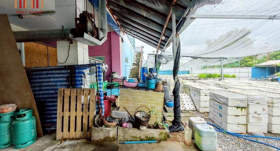 For sale 4 bedrooms house in Sai Noi, Nonthaburi