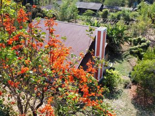 出售 7 卧室 独立屋 在 Ban Rai, Uthai Thani