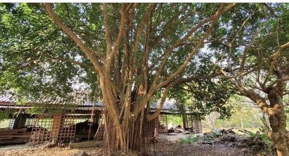 For sale 7 bedrooms house in Ban Rai, Uthai Thani