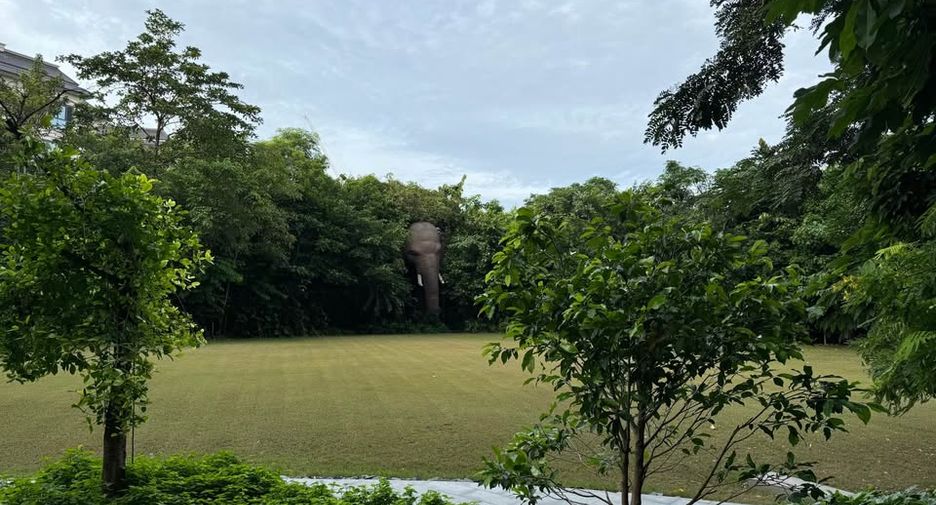 ให้เช่า 2 ห้องนอน คอนโด ใน บางพลี, สมุทรปราการ