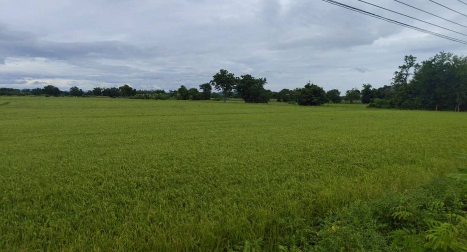 For sale land in Bueng Sam Phan, Phetchabun