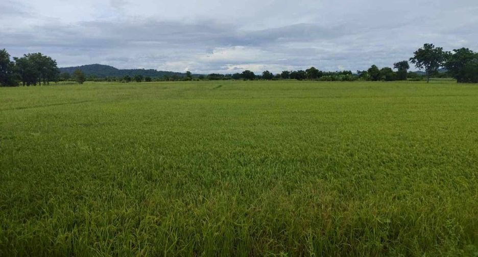 For sale land in Bueng Sam Phan, Phetchabun